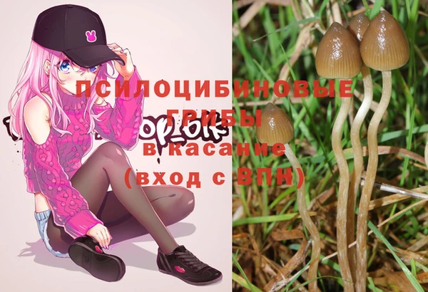 mix Новодвинск