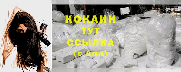тгк Няндома